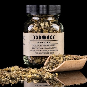 Gordolobo - Frasco de hierbas para hechizos de brujería - Curiosidad de boticario