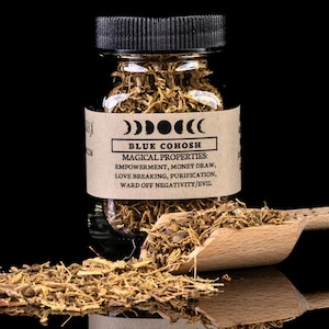 BLUE COHOSH ROOT - Witchcraft Spell Herb Jar For Spellwork - Apothecary Curio