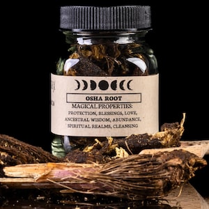 OSHA ROOT - Witchcraft Spell Herb Jar For Spellwork - Apothecary Curio