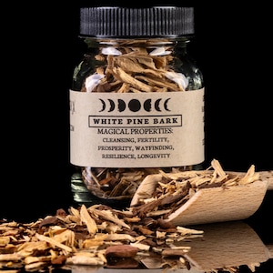 Corteza de pino blanco - Frasco de hierbas para hechizos de brujería - Curiosidades de boticario