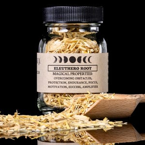 ELEUTHERO ROOT - Witchcraft Spell Herb Jar For Spellwork - Apothecary Curio