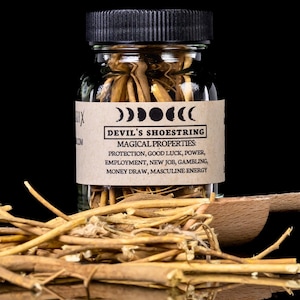 May include: A glass jar with a black lid filled with Devil's Shoestring, a bundle of dried roots. The label reads "Devil's Shoestring" with magical properties listed. A wooden scoop and more roots are in the foreground.