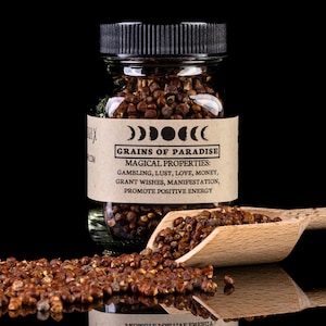 GRAINS OF PARADISE - Witchcraft Spell Herb Jar For Spellwork - Apothecary Curio
