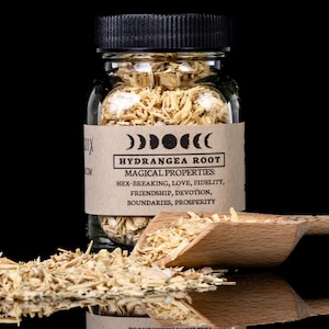 May include: A clear glass jar filled with dried hydrangea root, labeled with "HYDRANGEA ROOT" and "MAGICAL PROPERTIES." A wooden scoop and scattered root pieces are in front of the jar. The background is black.