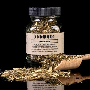BONESET - Witchcraft Curio Herbs For Spellwork, Apothecary Root herbs, Natural Curio Spell Herbs