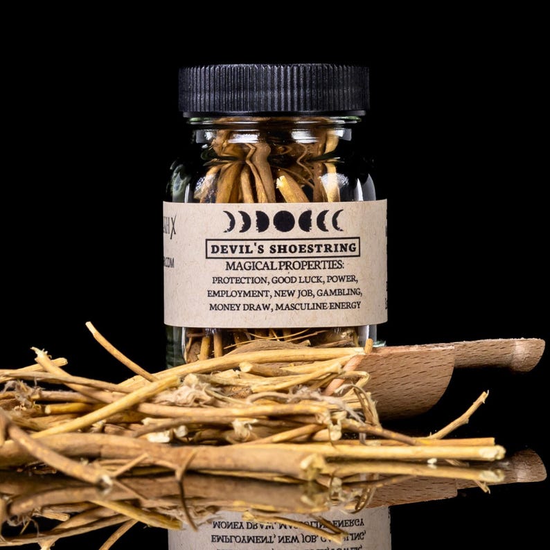 May include: A glass jar with a black lid filled with Devil's Shoestring, a bundle of dried roots. The label reads "Devil's Shoestring" with magical properties listed. A wooden scoop and more roots are in the foreground.