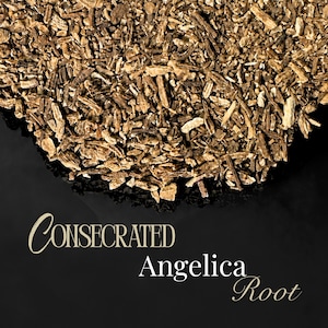 Peut inclure: Un tas de morceaux de racine d'angélique séchés, hachés et de couleur brun clair, à la texture fibreuse. Sous la racine, le texte "CONSECRATED Angelica Root" est écrit dans une police serif crème sur un fond noir uni.