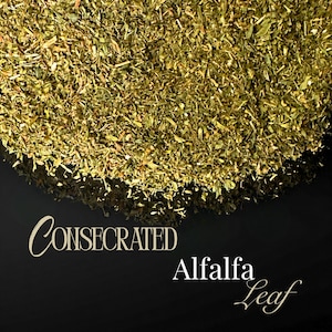 May include: A pile of dried, finely chopped green alfalfa leaves with a textured appearance. Below the herbs, the text CONSECRATED Alfalfa Leaf is printed in a white serif font against a solid black background, clearly labeling the product.