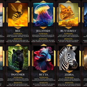 Oracle-deck met goddelijke geest ANIMAL Messages (40 kaarten)