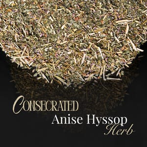 ANIS HYSSOP - Pote de Ervas para Feitiços e Magias - Artigo de Boticário