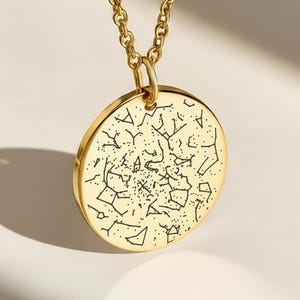 Op de afbeelding: Een goudkleurige hangerketting met een gedetailleerd sterrenbeeldontwerp. De ronde hanger hangt aan een fijne ketting. Het sterrenbeeldpatroon is in zwart geëtst, wat een opvallend contrast vormt met het goud. De ketting wordt gepresenteerd tegen een neutrale achtergrond.
