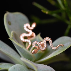 May include: A pair of gold snake earrings with clear cubic zirconia stones. The earrings are on a green succulent plant.