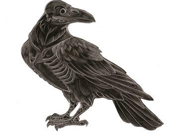 Bone Raven Sticker