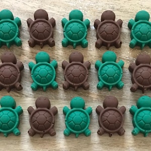 May include: Fifteen small turtle-shaped erasers in two colors: teal and brown. The erasers are arranged in three rows of five, with alternating colors. Each turtle has a detailed shell and small flippers.