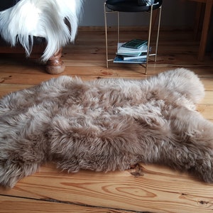 Sheepskin Rug Caramel, Beautifull Merino Pelt, Exclusive Carpet, Genuine Sheepskin Throw, Beige Rug!!!
