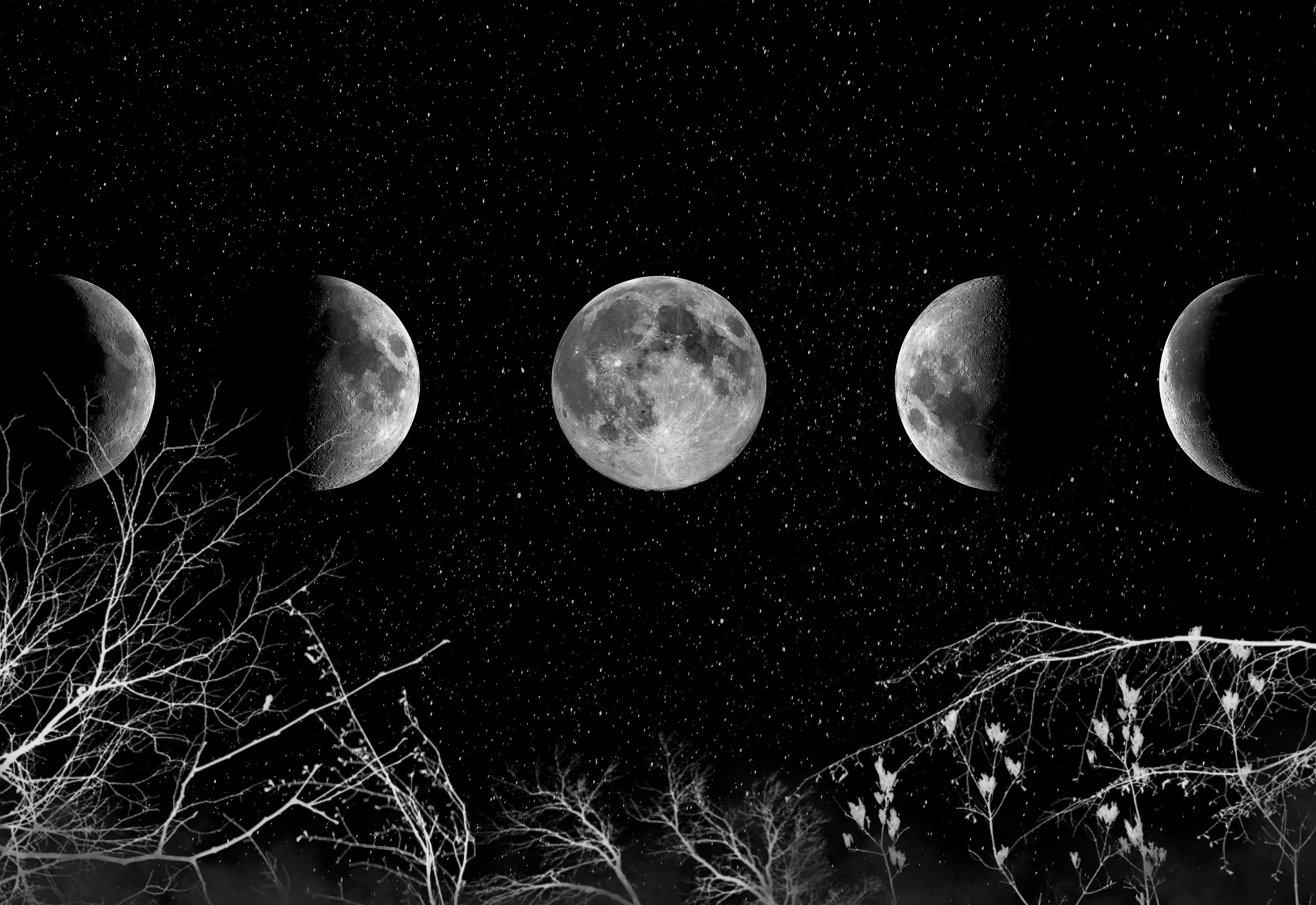 Moon Phase Hooded Blanket Moon Blanket Gothic Clothing Etsy