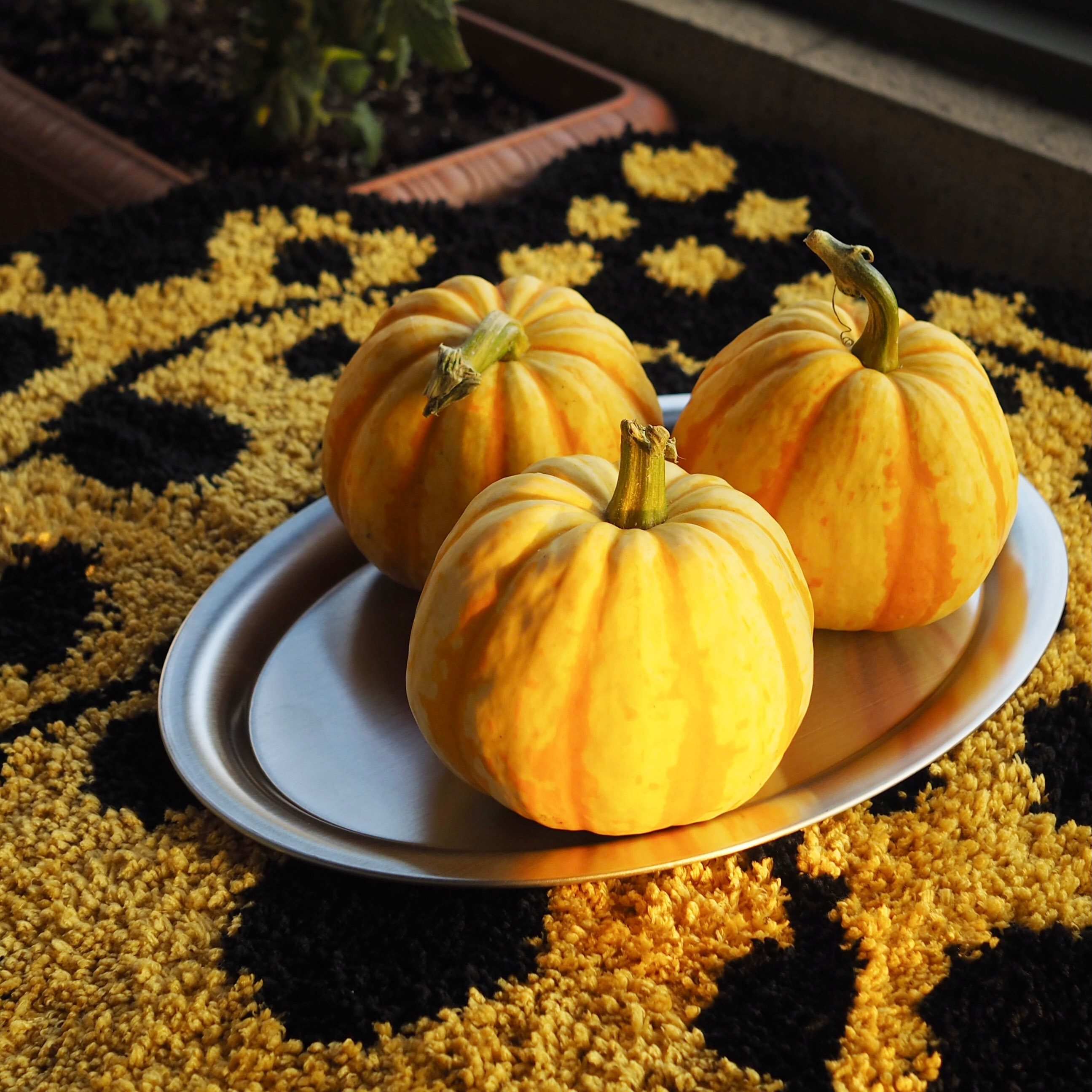 Designer Yayoi Kusama Pumpkin Series Abstract Rug Small Etsy