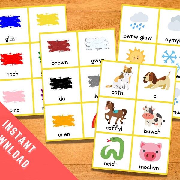 Animal Flash Cards - Etsy