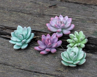 Succulent gift Green Succulent Brooch Pin Clothes Dress Accessory Decoration Plant Planter Brooch Pin Mother Birthday Wedding Gift