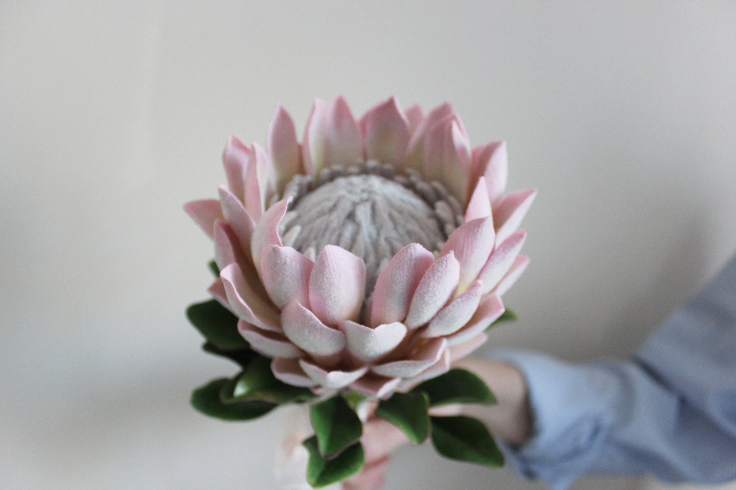 Single stem king protea bouquet Artificial king protea Etsy