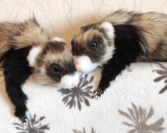 realistic ferret plush