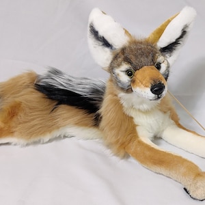 Made to order! Not in stock! Weighted&floppy JACKAL plush/ Black-backed jackal