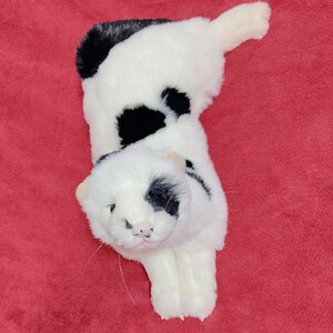 May include: A plush toy cat in a lying position, featuring a white body with black spots and markings. The cat has a pink nose and whiskers, with a black patch around one eye. The toy is set against a red background.