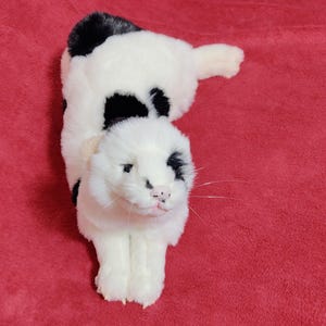 May include: A plush toy cat in a lying position, featuring a white body with black spots and patches. The cat has a white face with black markings around the eyes and a pink nose. The toy is on a red background.