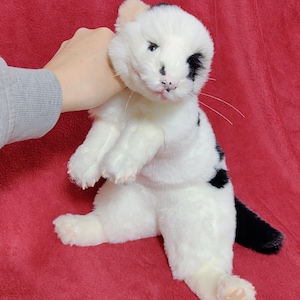 May include: A plush white cat with black spots and a black tail. The cat has a pink nose and tongue, and a black spot over one eye. The cat is sitting upright on a red surface.