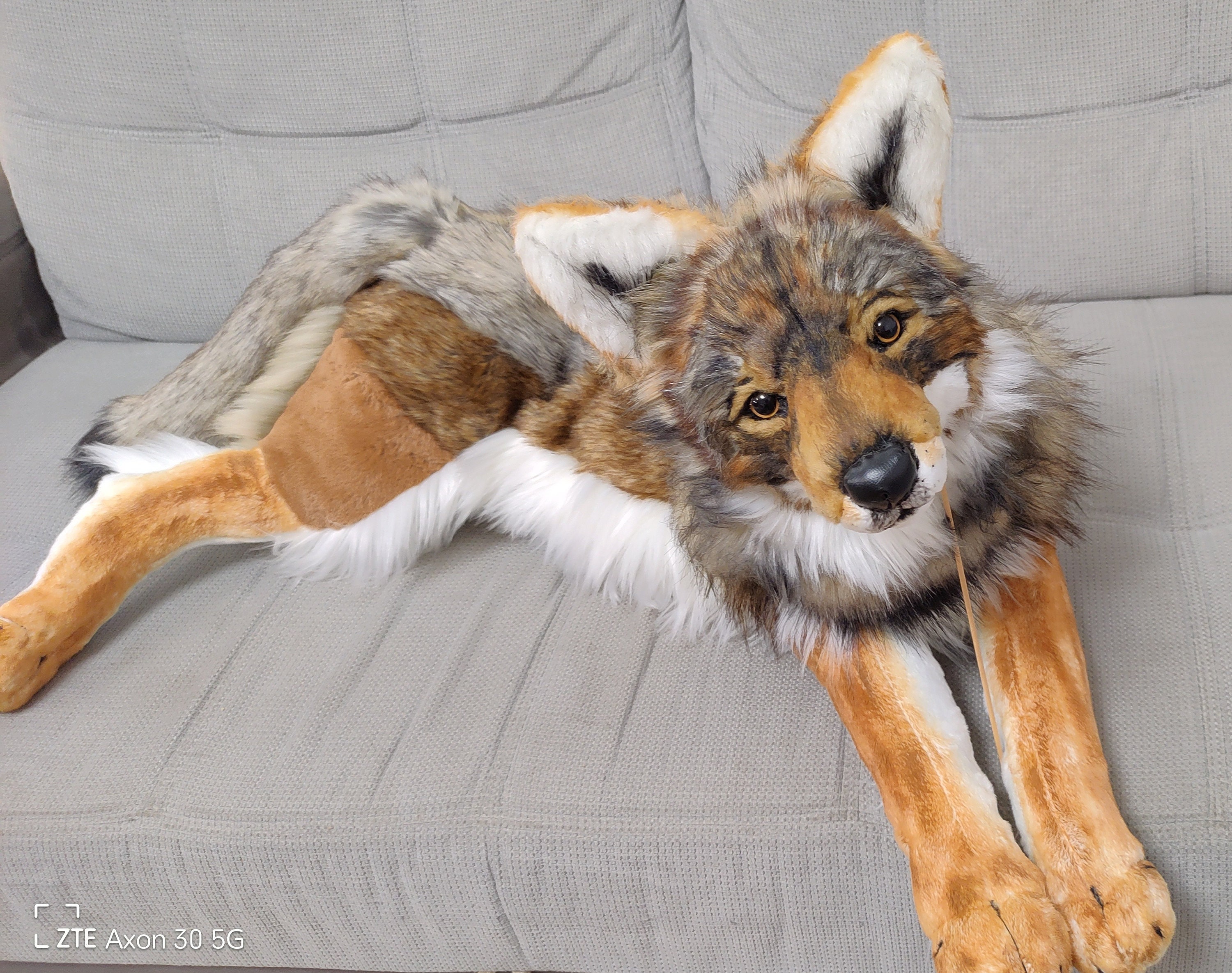 Finished Product Realistic Brown Wolf Plush Extra Floppy Made of