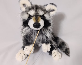 Auf Bestellung (NICHT auf Lager)! Weighted&Floppy WASCHBÄR Plüschtier / Realistischer Waschbär / Grau-weiße Farbe