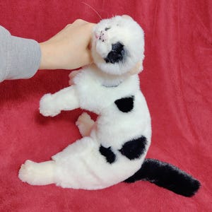 May include: A plush toy cat in a seated position, featuring a white body with black spots and a black tail. The cat's face has black markings and pink details. The toy is held by a hand, with a red background.