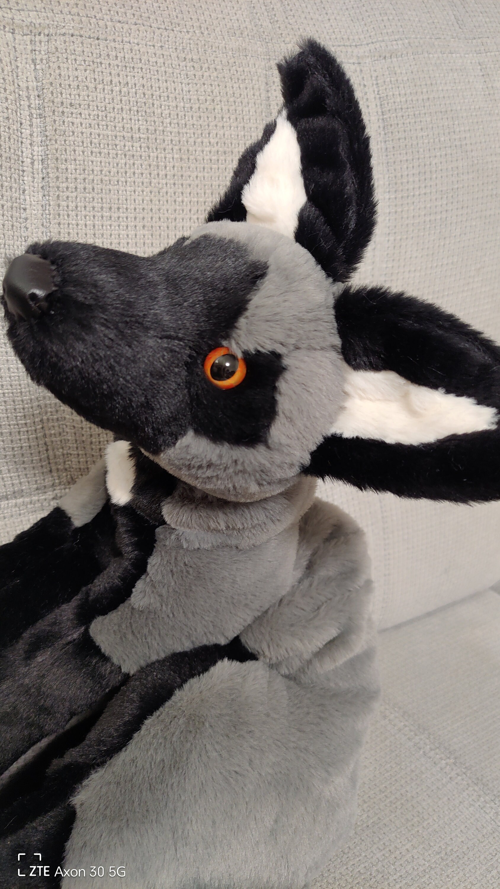 受注生産！在庫なし！重みがあってふわふわのシルバーフォックスの