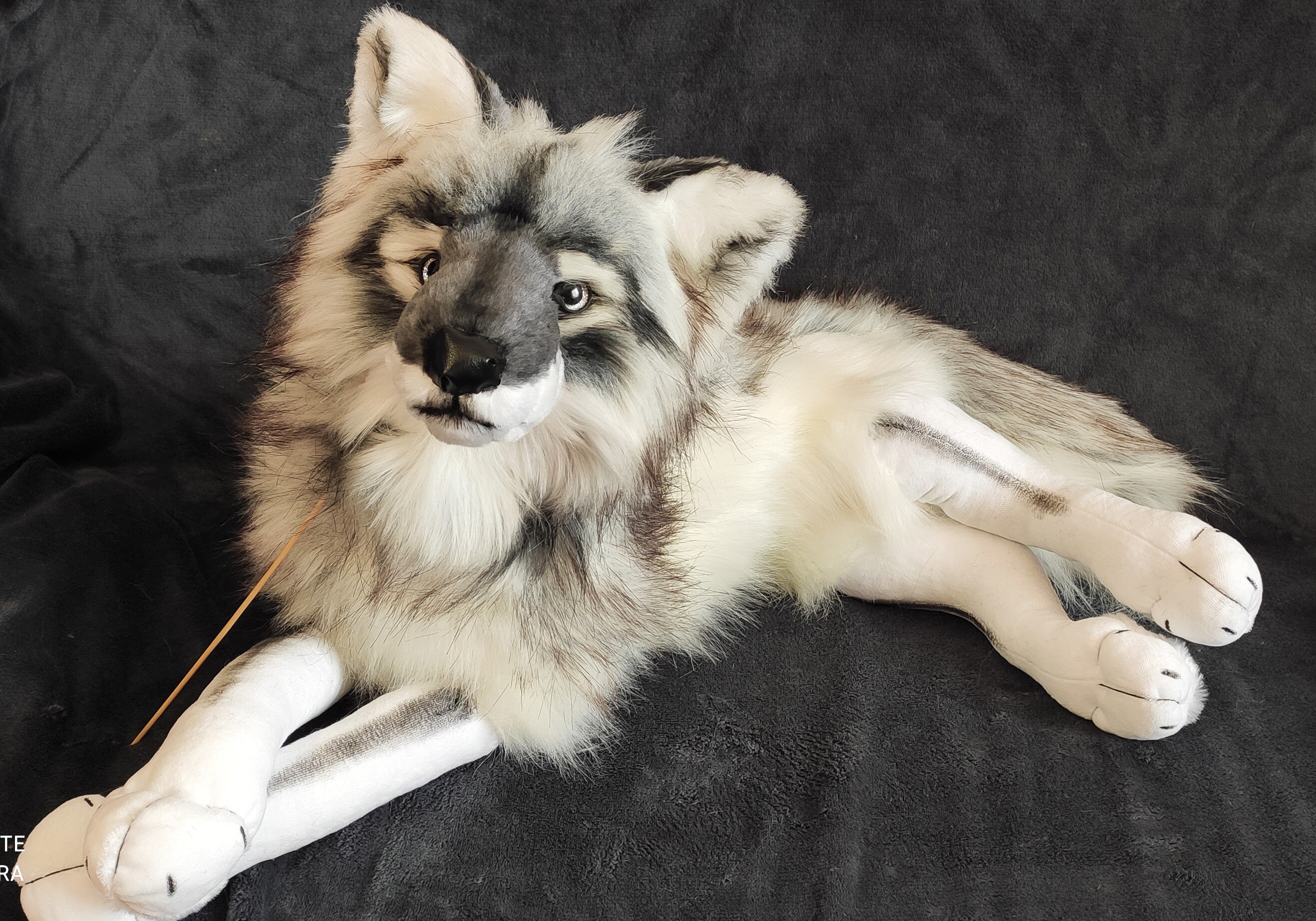 wolf plush for sale