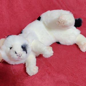 May include: A plush white cat with black spots and a black tail, lying on its back. The cat has pink paws and a pink nose. The plush toy is on a red surface.