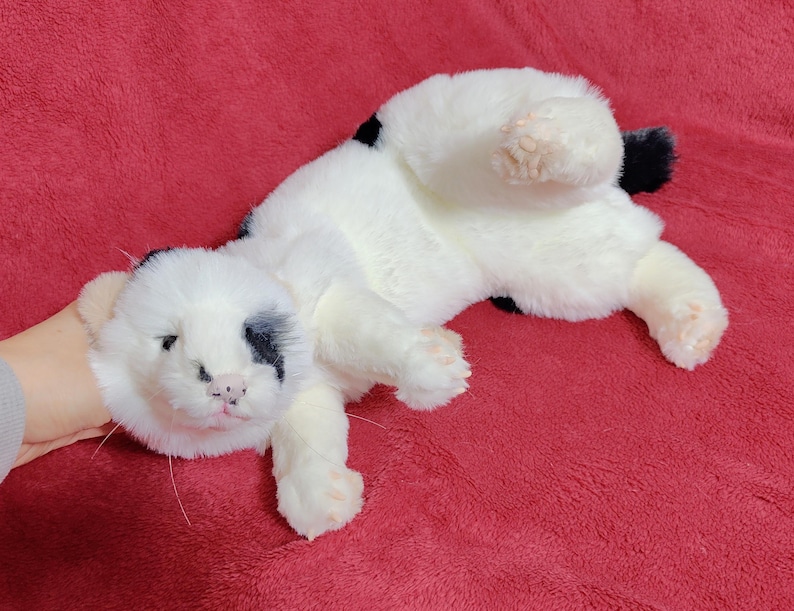 May include: A plush white cat with black spots and a black tail, lying on its back. The cat has pink paws and a pink nose. The plush toy is on a red surface.