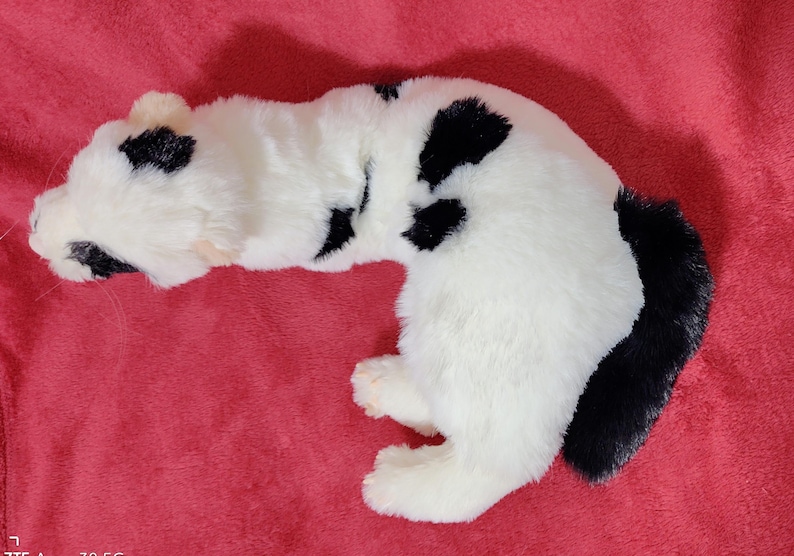 May include: A plush toy cat in a lying position, featuring a white body with black spots and a black tail. The toy is made of soft, fluffy material and is set against a red background.