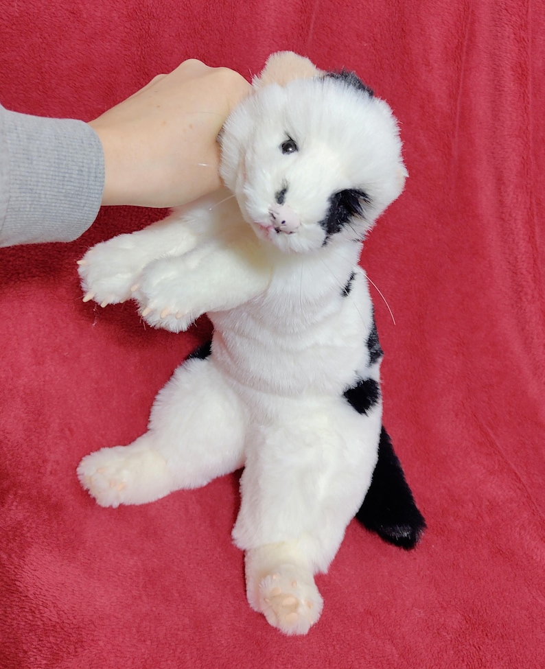 May include: A plush white cat with black spots and a black tail. The stuffed animal is being held up by a hand. The cat has a pink nose and whiskers. The background is a solid red color.