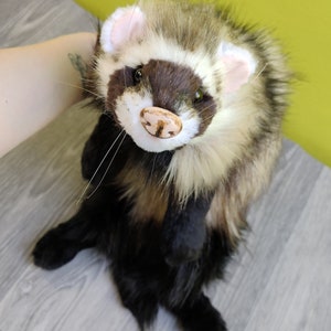 Made to order! Beige-black ferret with brown mask/ extra FLOPPY/ solid Weighted realistic plush/ Made of Luxury Faux furs