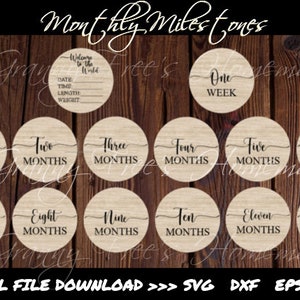 14 Baby Monthly Milestone Bundle - Monthly Milestone svg png eps dxf - Laser Print - Glow Forge - Cricut, Silhouette, Welcome Baby Stats svg