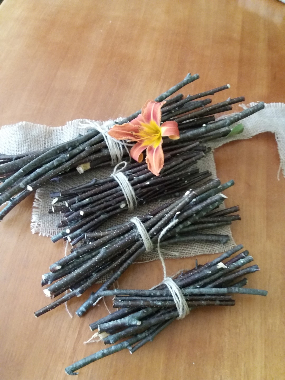 Birch Twigs Organic Birch Bundles Natural Birch Branches Organic Chew