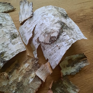  Natural White Birch Bark 10 Sheets 8 x 8 - DIY Crafts Made  Easy with Natural White Birch Bark