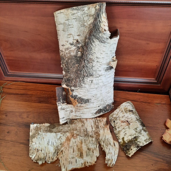 Birch Bark Sheets - Etsy
