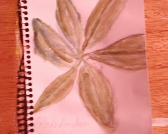 Rhododendron, botanical study