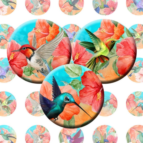 COLIBRI Feuille de collage numérique Bird Cabochon images Bottlecap images Images de cercle imprimables 20mm 25mm 30mm Images numériques pour pendentifs