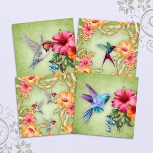 Imágenes para posavasos COLIBRI Colibrí Imprimible descarga 3.8x3.8 pulgadas Azulejos Decoupage Imanes Posavasos Cuadrados Grandes Hoja de Collage Digital