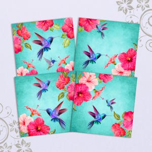 COLIBRI kolibrie afbeeldingen voor onderzetters Afdrukbare download 3,8 x 3,8 inch tegels decoupage magneten grote vierkante afbeeldingen digitale collagevel