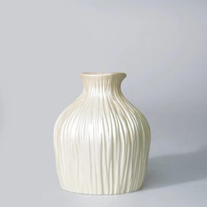Dublin Decorative Flower Pots / Modern Plant Pots / Resin Small Vases in Pearl Color
