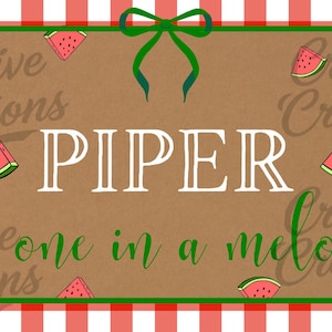 One in a melon Banner Template