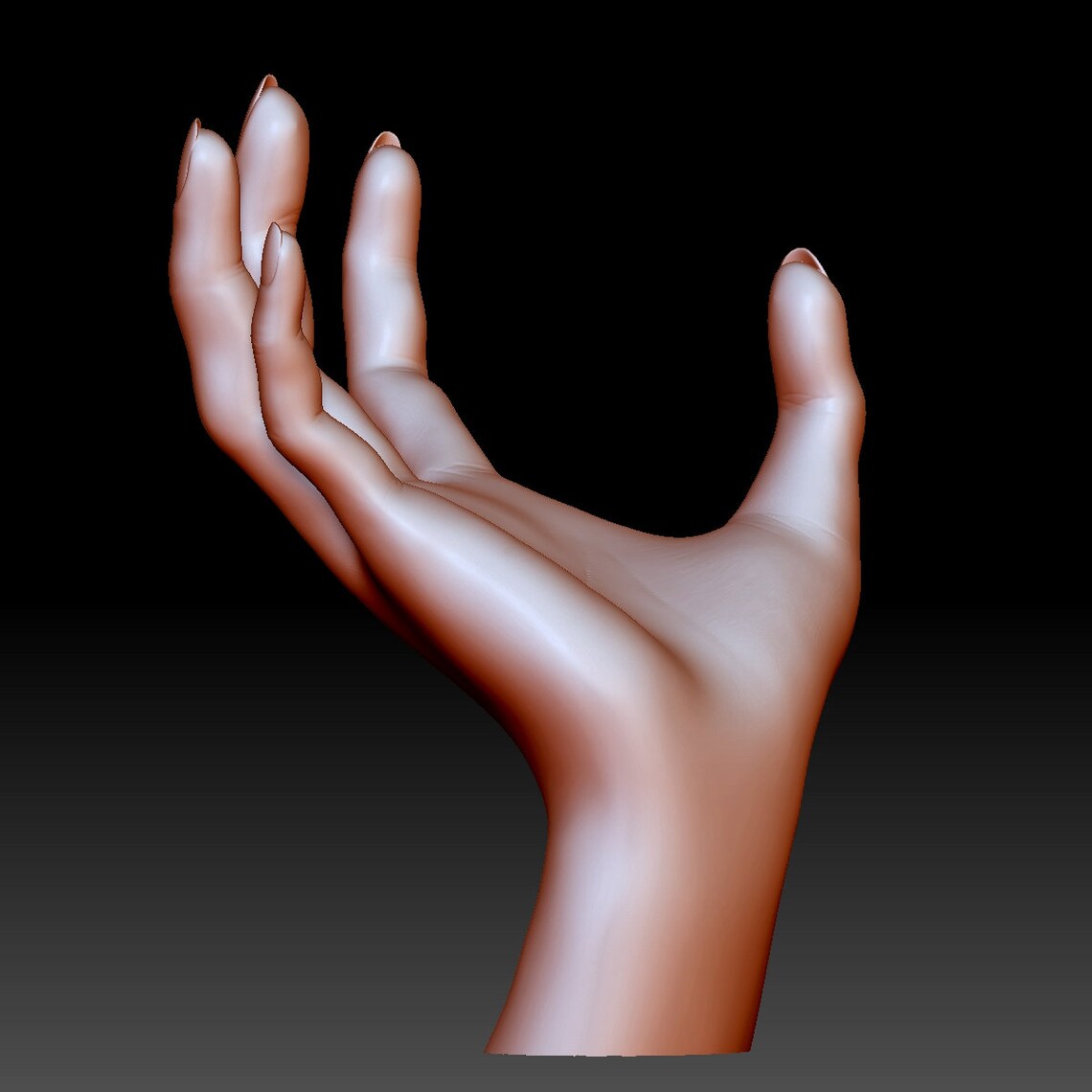STL file for 3D printing Hand holding 3D printable model Etsy
